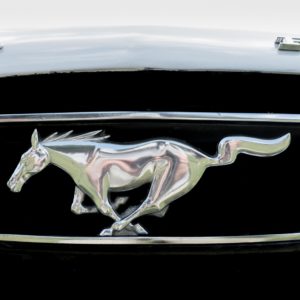 ford mustang logo on car grille