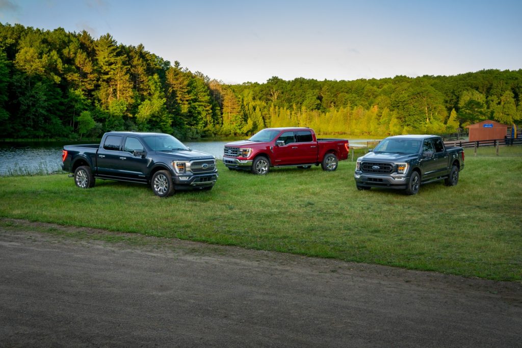 New Ford F-150 trucks on a field