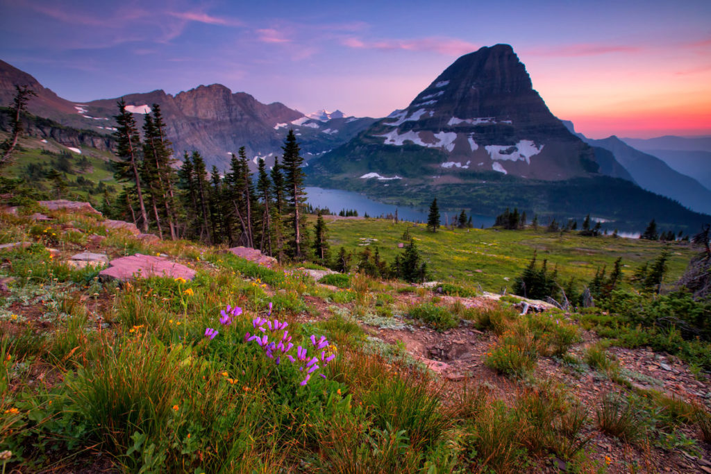 glacier national park montana