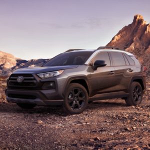 2021 toyota rav4 parked in the mountains