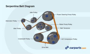 Chevy Belt Diagram