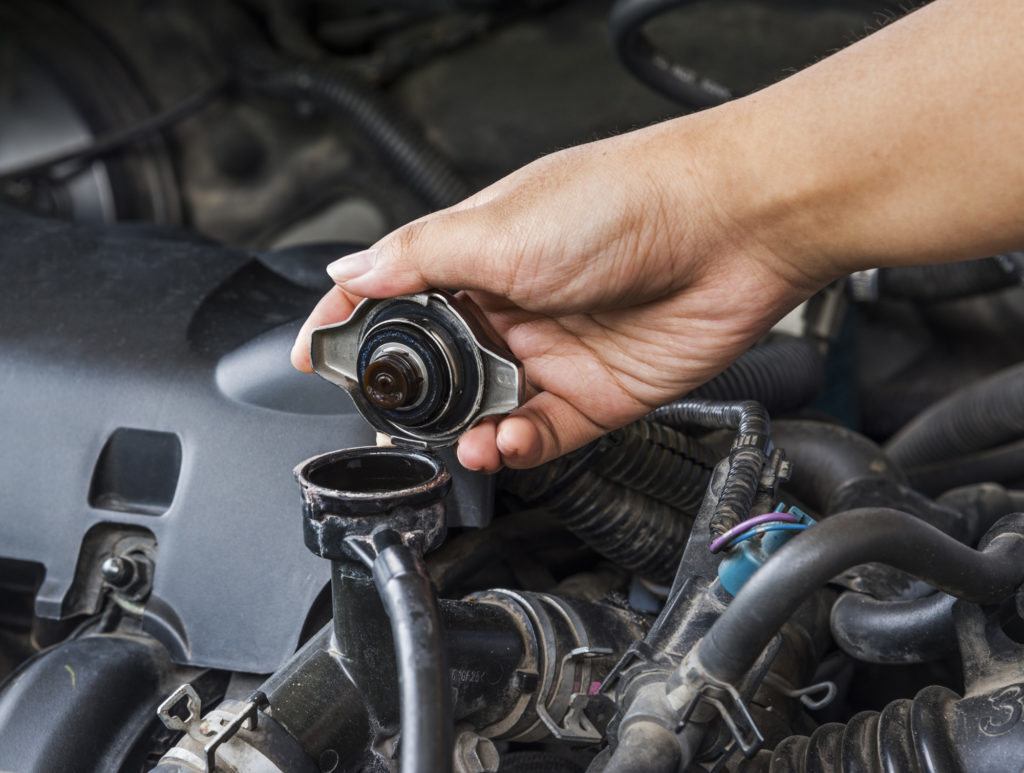 person checks car radiator fluid