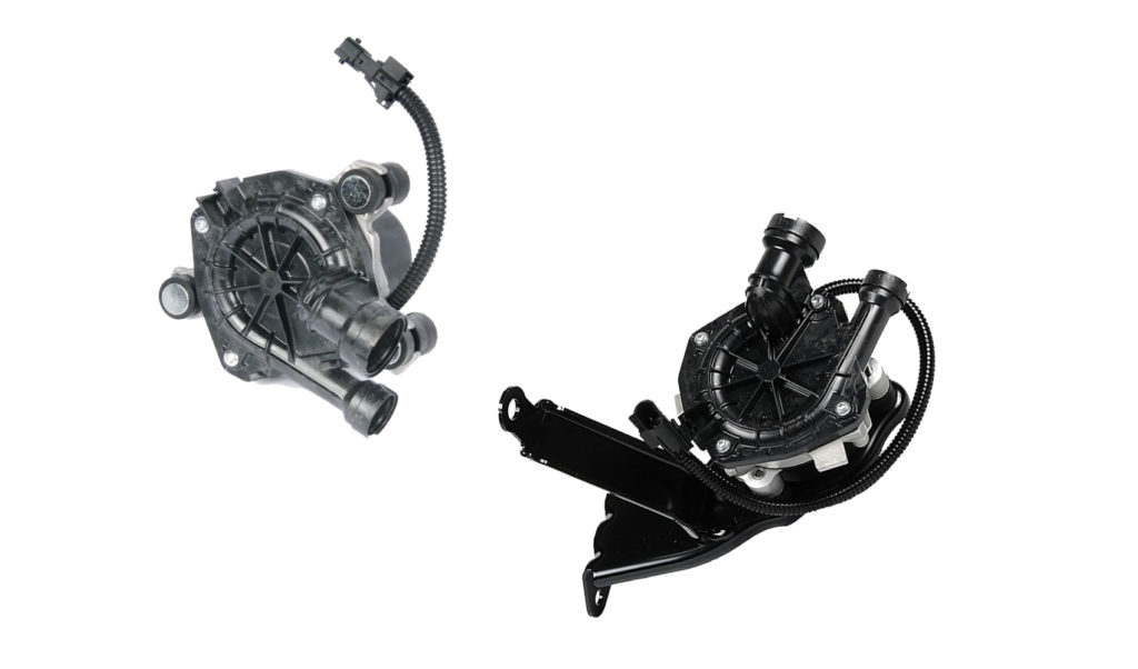 car sai pumps in white background