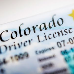 colorado driver license