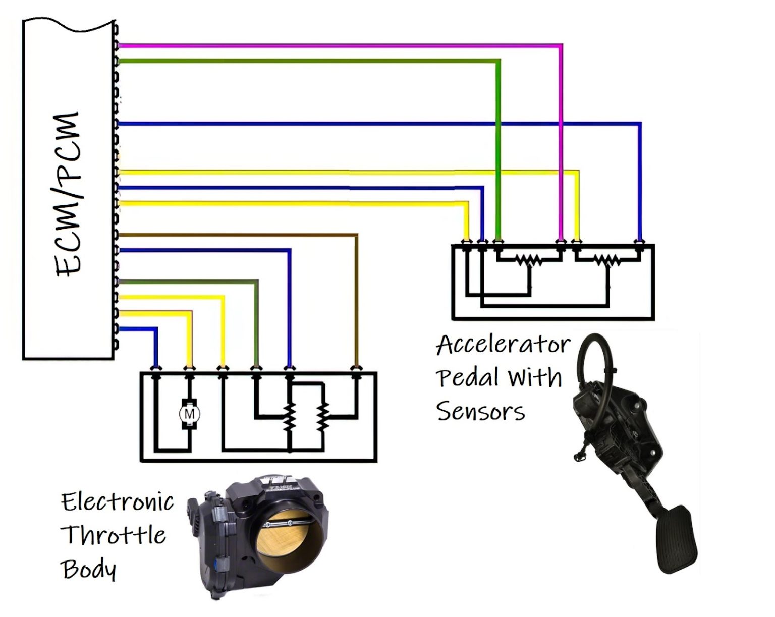 P0122 Code: Throttle Position Sensor/Switch A Circuit Low Input - In ...