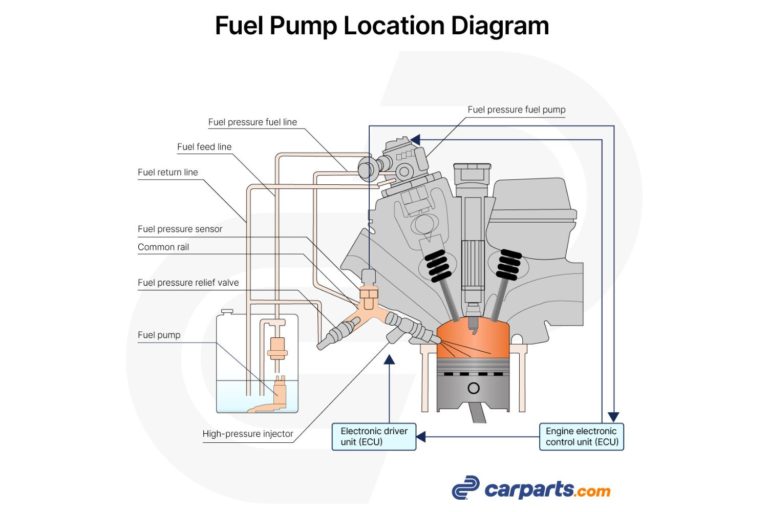 Where is the Fuel Pump Located? - In The Garage with CarParts.com