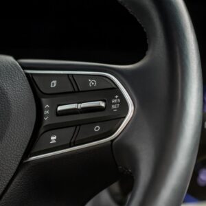 steering wheel with cruise control buttons