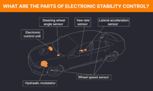 Should You Worry About an Illuminated Service ESC Light? - In The ...