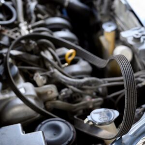 serpentine belt on an engine