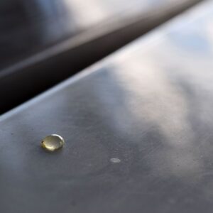 small sap on a car's body