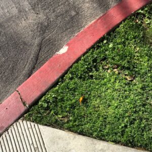 sidewalk with red curb color