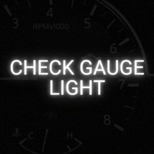 car check gauge light