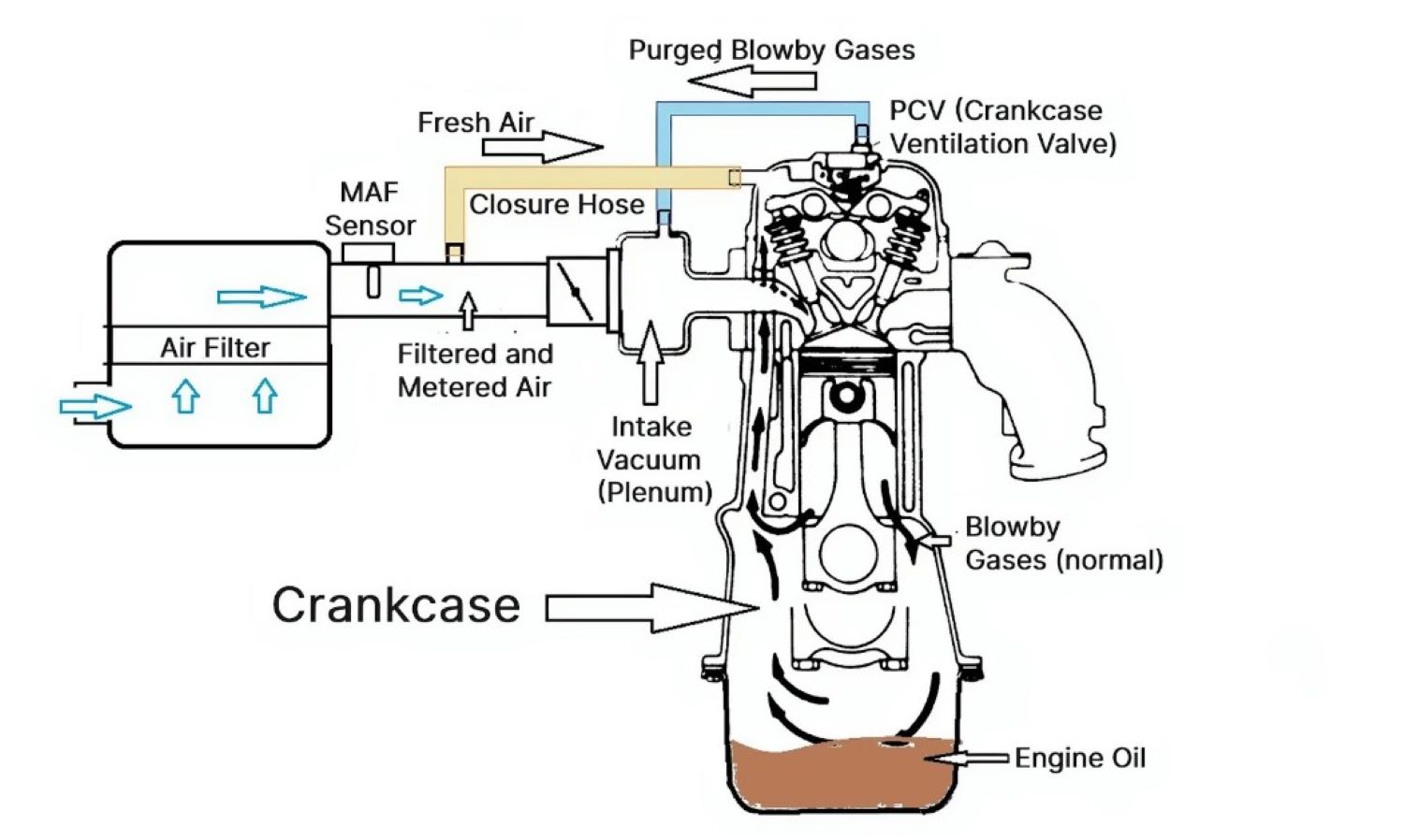 Where Is the Crankcase Located? - In The Garage with CarParts.com