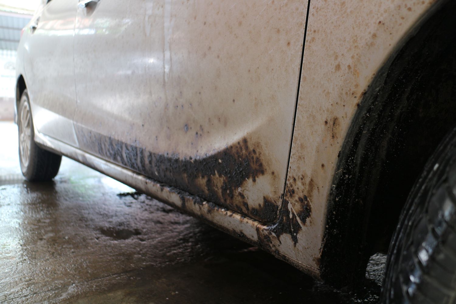 How To Get Tar Off Your Car - In The Garage with CarParts.com