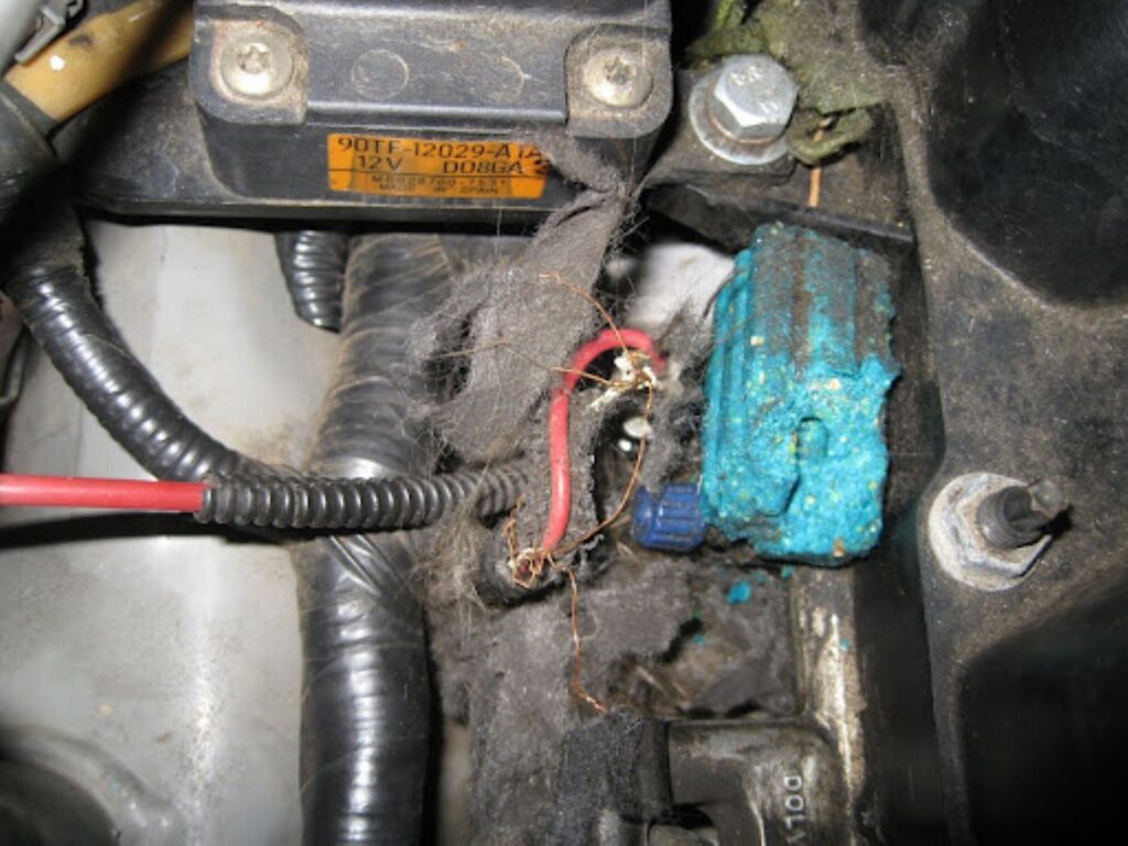 image of damaged engine wires