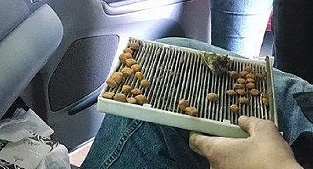 changing a cabin air filter richard mccuistian