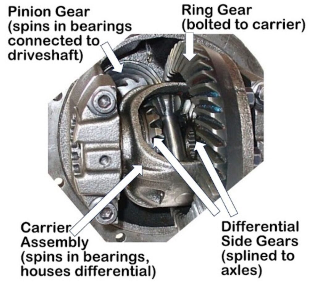 automotive carrier and differential gears