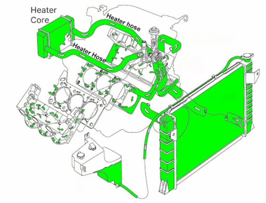 diagram showing heater hose location