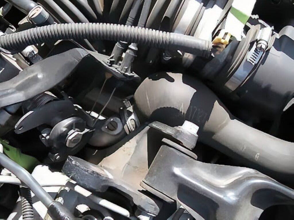 image of a swollen engine coolant hose