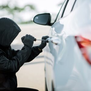 vehicle theft prevention